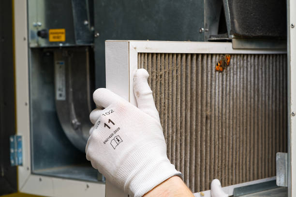 Best Ductwork Cleaning Services  in Benson, AZ